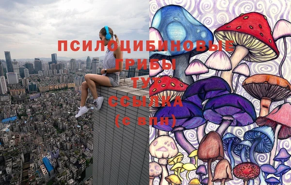 мдма Горняк