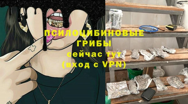 метадон Гусев