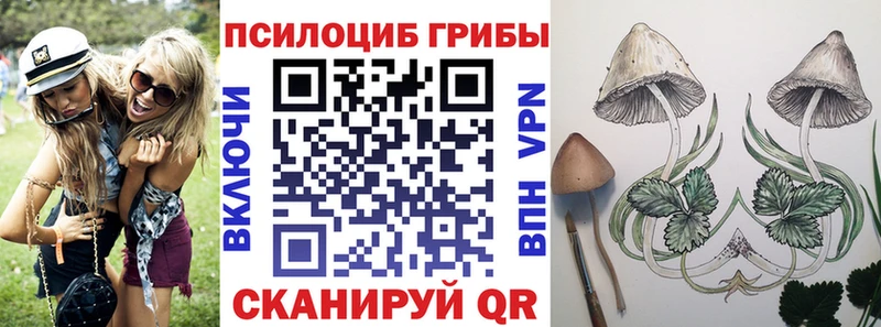 Купить закладки Щёкино Галлюциногенные грибы ЛСД